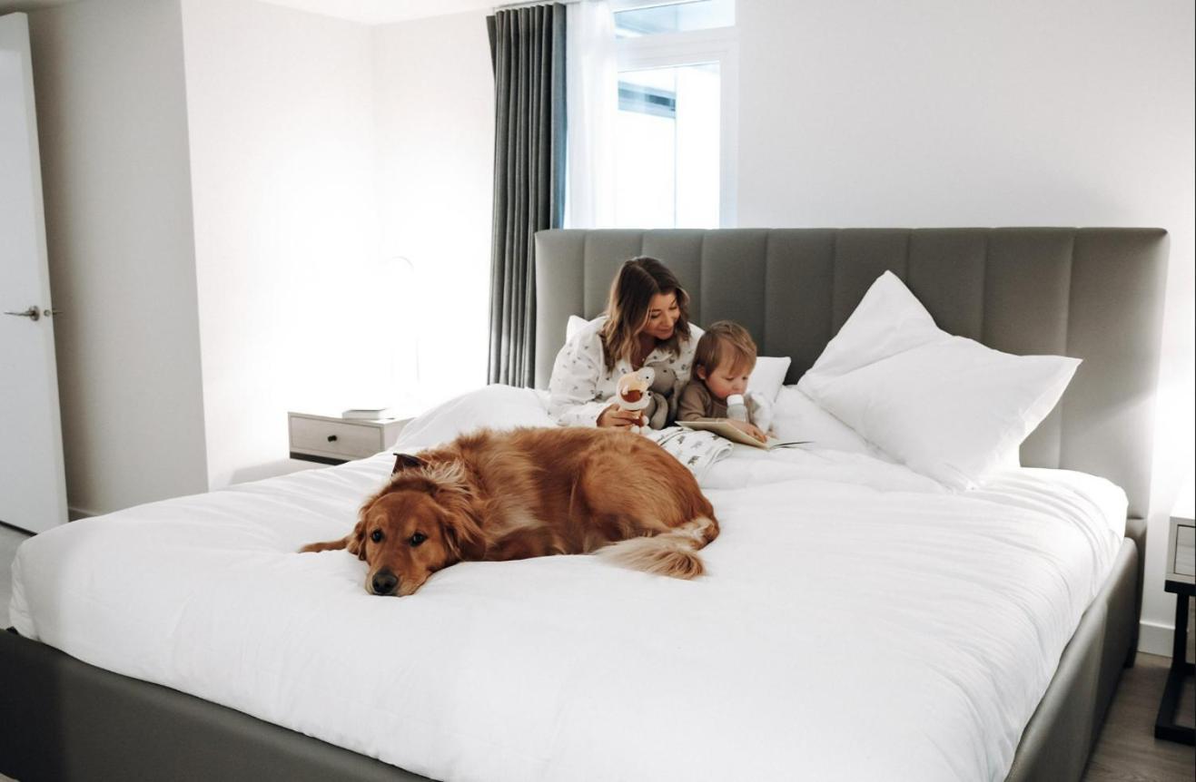 Level Downtown La South Olive Hotel Los Angeles Bagian luar foto